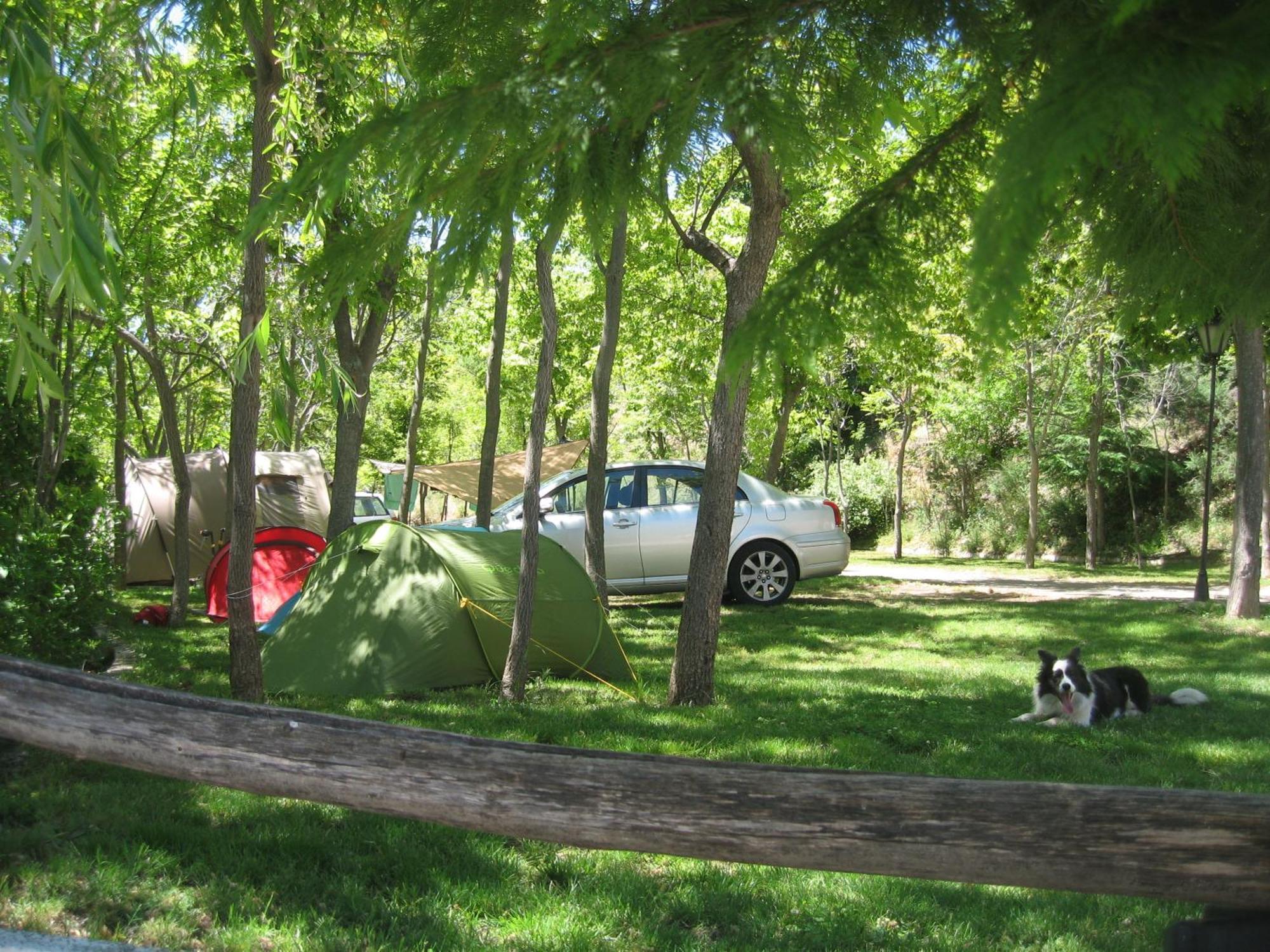 Camping Trevélez Zewnętrze zdjęcie